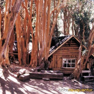 Bosque de Arrayanes