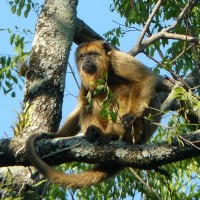 FOTO: ver link abajo